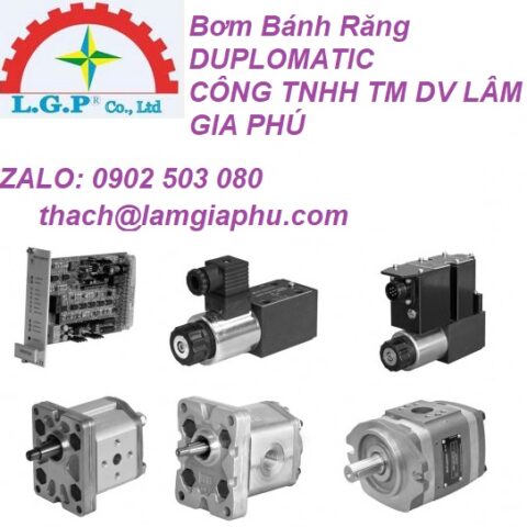 Động Cơ Bánh Răng DUPLOMATIC