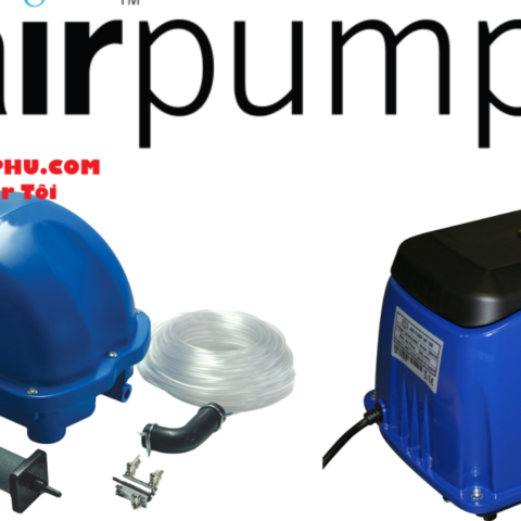 BƠM CHÌM EVOLUTION AQUA