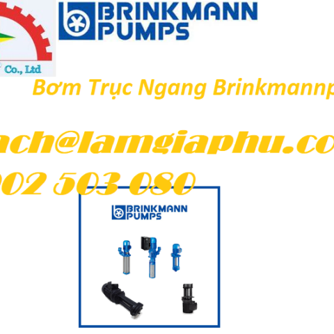 brinkmannpumps