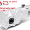 Động Cơ Bánh Răng BAUER IE3
