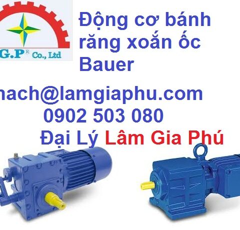 Động cơ bánh răng Bauer BG