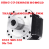 Động cơ georgii kobold KTY-Q