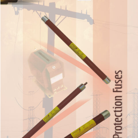 CẦU CHÌ ESWARI VT (ANAND fuse)