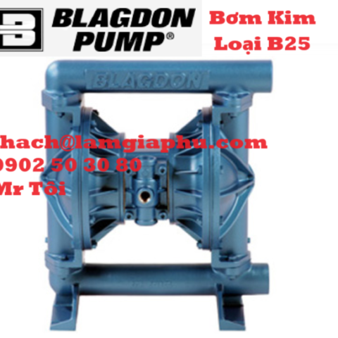 BƠM KIM LOẠI B25 BLAGDON