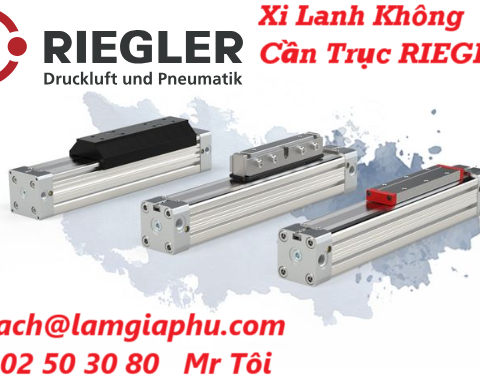 Xi Lanh RIEGLER