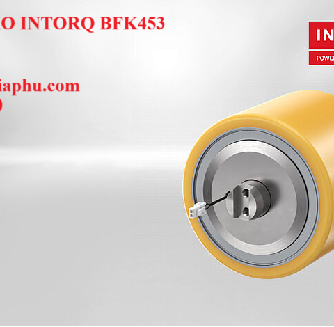 PHANH LÒ XO INTORQ BFK453