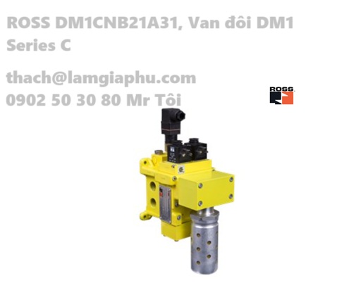 VAN ĐÔI ROSS DM1CNB21A31