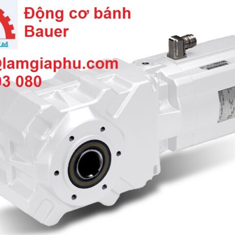 GEAR MOTOR BAUER BG Series